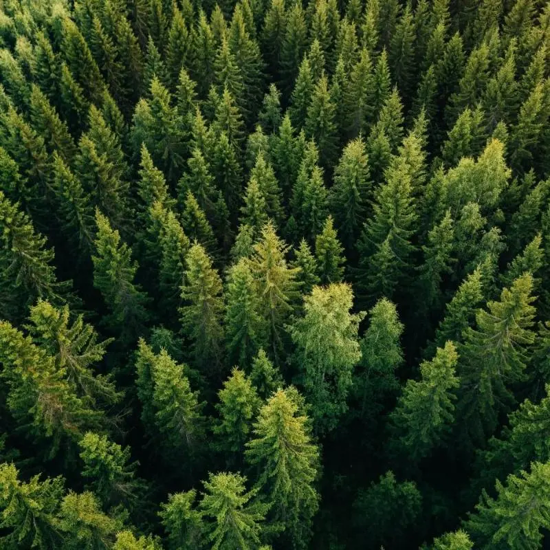 Picture of IZBIRA TOALETNEGA PAPIRJA: ČISTA CELULOZA ALI RECIKLAŽA ZA BOLJ ZELEN JUTRI?